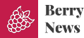 BerryNews